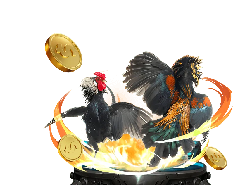 Chống gian lận và giám sát