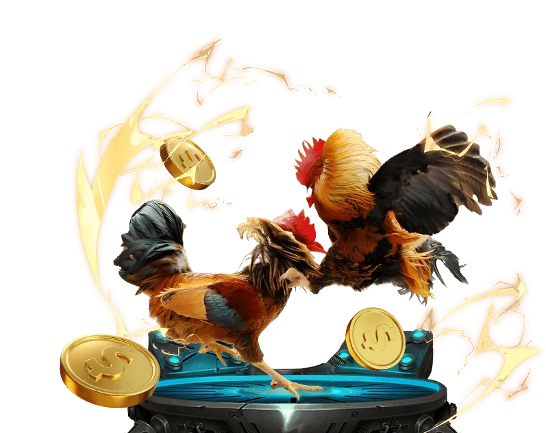 Đá Gà Trực Tiếp awin68. mobi